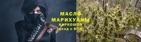 молекула духа Вяземский